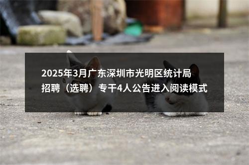 2025年3月广东深圳市光明区统计局招聘（选聘）专干4人公告进入阅读模式 图片