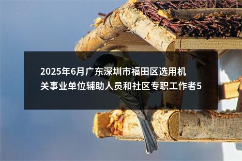 2025年6月广东深圳市福田区选用机关事业单位辅助人员和社区专职工作者50人公告 图片