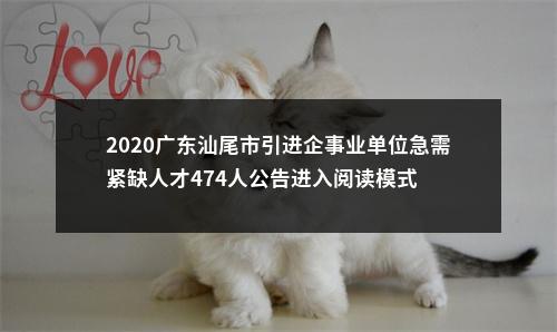 2020广东汕尾市引进企事业单位急需紧缺人才474人公告进入阅读模式 图片