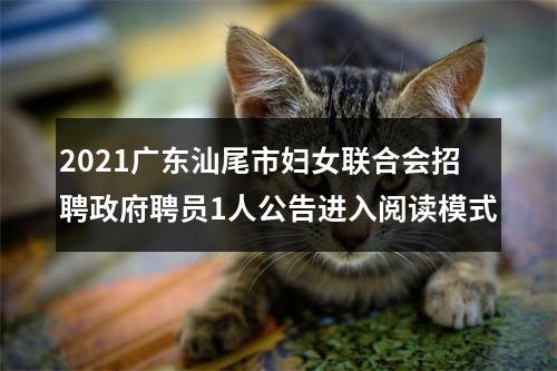 2021广东汕尾市妇女联合会招聘政府聘员1人公告进入阅读模式 图片