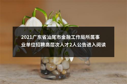 2021广东省汕尾市金融工作局所属事业单位招聘高层次人才2人公告进入阅读模式 图片