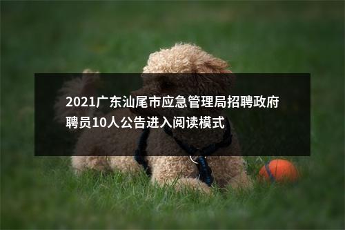 2021广东汕尾市应急管理局招聘政府聘员10人公告进入阅读模式 图片