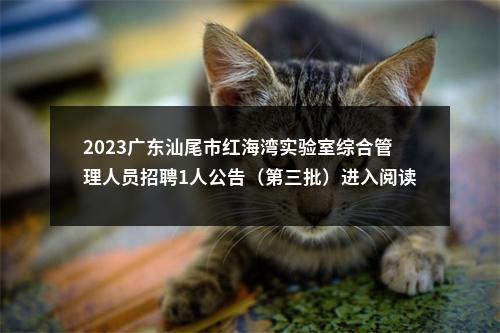 2023广东汕尾市红海湾实验室综合管理人员招聘1人公告（第三批）进入阅读模式 图片