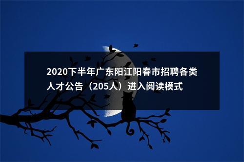 2020下半年广东阳江阳春市招聘各类人才公告（205人）进入阅读模式 图片