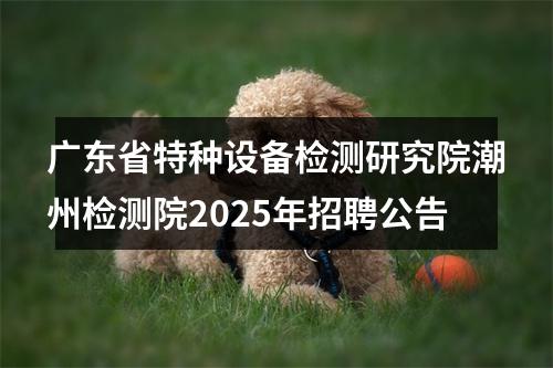 广东省特种设备检测研究院潮州检测院2025年招聘公告 图片