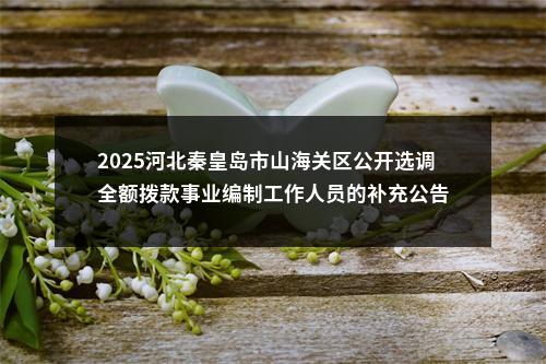 2025河北秦皇岛市山海关区公开选调全额拨款事业编制工作人员的补充公告 图片