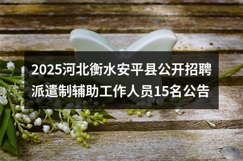 2025河北衡水安平县公开招聘派遣制辅助工作人员15名公告 图片