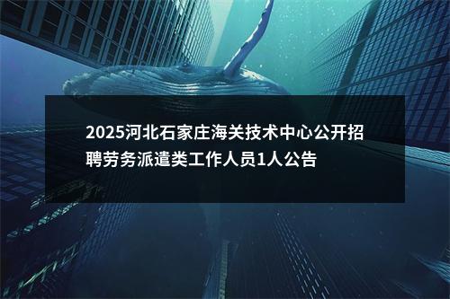 2025河北石家庄海关技术中心公开招聘劳务派遣类工作人员1人公告 图片