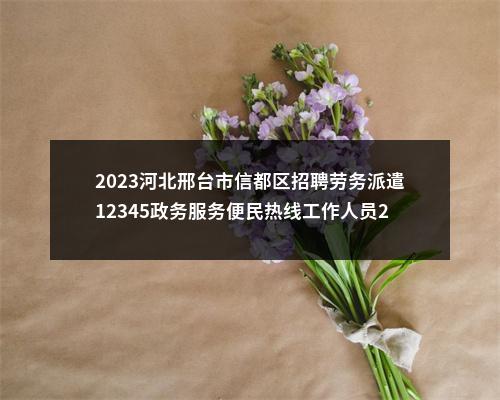 2023河北邢台市信都区招聘劳务派遣12345政务服务便民热线工作人员24名公告 图片