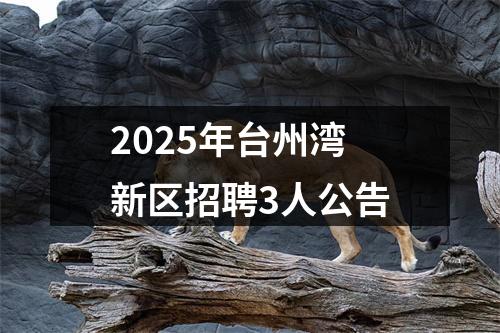 2025年台州湾新区招聘3人公告 图片