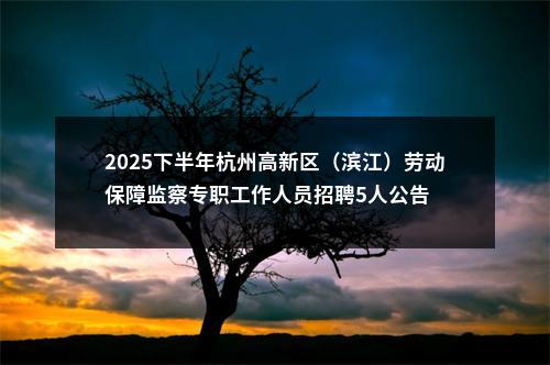 2025下半年杭州高新区（滨江）劳动保障监察专职工作人员招聘5人公告 图片