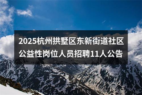 2025杭州拱墅区东新街道社区公益性岗位人员招聘11人公告 图片