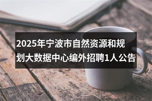 2025年宁波市自然资源和规划大数据中心编外招聘1人公告 图片