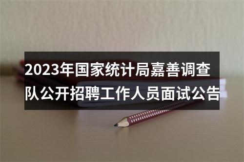2023年国家统计局嘉善调查队公开招聘工作人员面试公告 图片