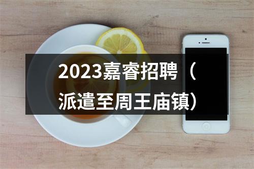 2023嘉睿招聘（派遣至周王庙镇） 图片