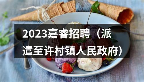 2023嘉睿招聘（派遣至许村镇人民政府） 图片