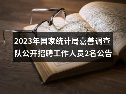 2023年国家统计局嘉善调查队公开招聘工作人员2名公告 图片