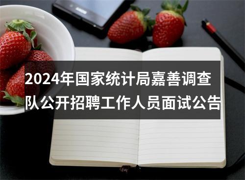 2024年国家统计局嘉善调查队公开招聘工作人员面试公告 图片