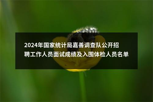 2024年国家统计局嘉善调查队公开招聘工作人员面试成绩及入围体检人员名单公告 图片