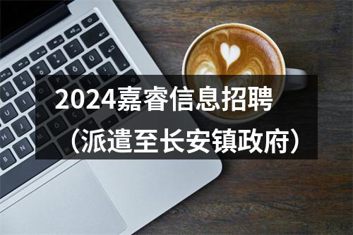 2024嘉睿信息招聘（派遣至长安镇政府） 图片