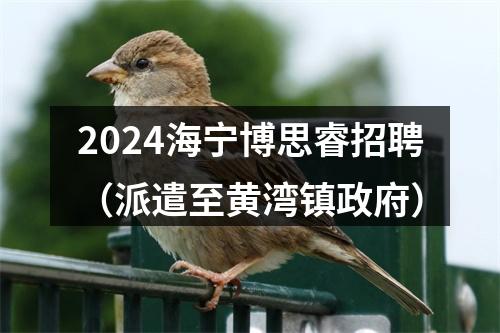 2024海宁博思睿招聘（派遣至黄湾镇政府） 图片