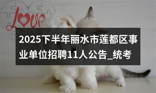 2025下半年丽水市莲都区事业单位招聘11人公告_统考 图片