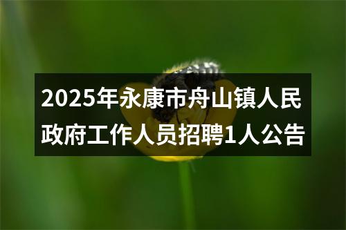 2025年永康市舟山镇人民政府工作人员招聘1人公告 图片