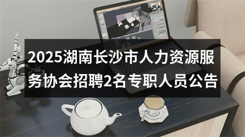 2025湖南长沙市人力资源服务协会招聘2名专职人员公告 图片