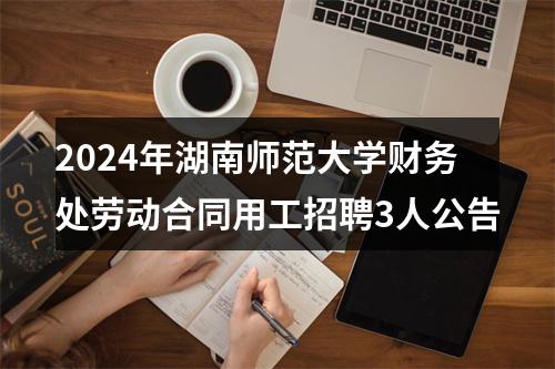 2024年湖南师范大学财务处劳动合同用工招聘3人公告 图片
