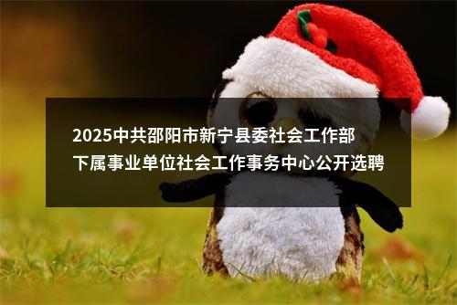 2025中共邵阳市新宁县委社会工作部下属事业单位社会工作事务中心公开选聘工作人员5人公告 图片