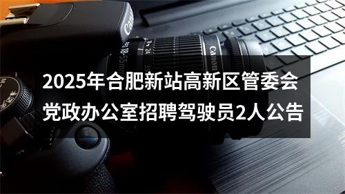 2025年合肥新站高新区管委会党政办公室招聘驾驶员2人公告 图片