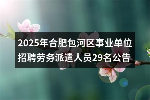 2025年合肥包河区事业单位招聘劳务派遣人员29名公告 图片