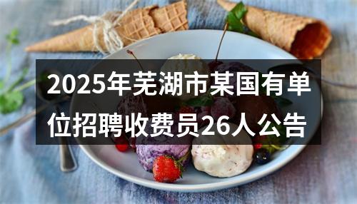 2025年芜湖市某国有单位招聘收费员26人公告 图片