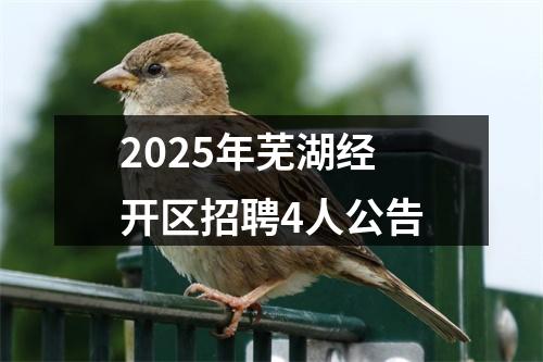 2025年芜湖经开区招聘4人公告 图片