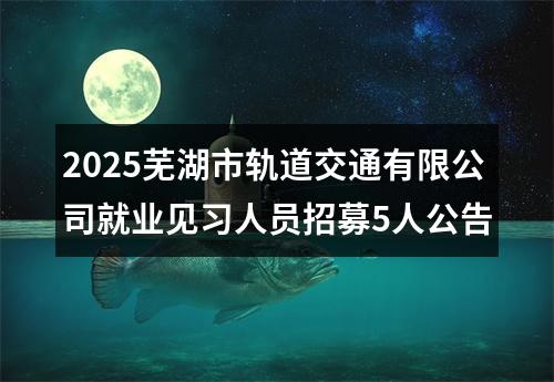 2025芜湖市轨道交通有限公司就业见习人员招募5人公告 图片