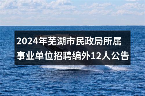 2024年芜湖市民政局所属事业单位招聘编外12人公告 图片