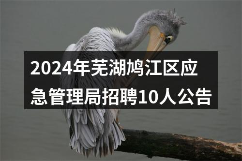2024年芜湖鸠江区应急管理局招聘10人公告 图片