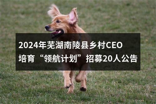 2024年芜湖南陵县乡村CEO培育“领航计划”招募20人公告 图片