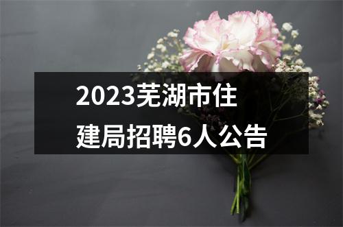 2023芜湖市住建局招聘6人公告 图片