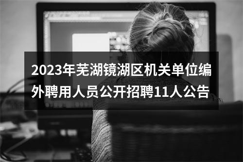 2023年芜湖镜湖区机关单位编外聘用人员公开招聘11人公告 图片