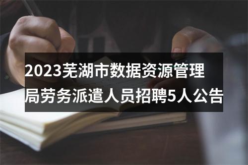 2023芜湖市数据资源管理局劳务派遣人员招聘5人公告 图片