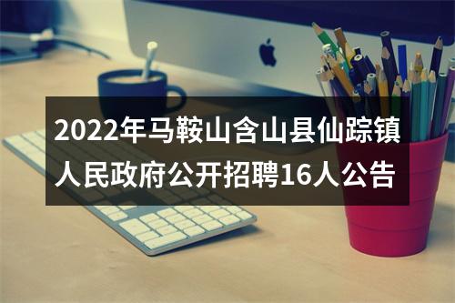 2022年马鞍山含山县仙踪镇人民政府公开招聘16人公告 图片