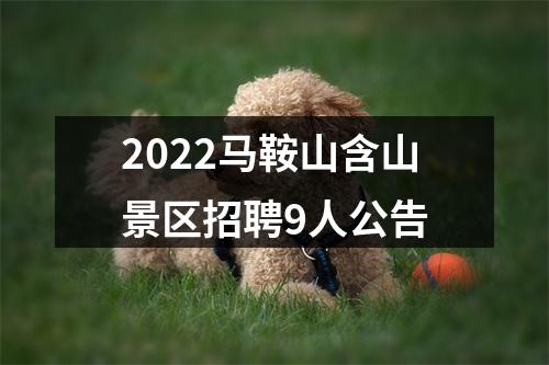 2022马鞍山含山景区招聘9人公告 图片