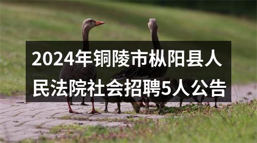 2024年铜陵市枞阳县人民法院社会招聘5人公告 图片