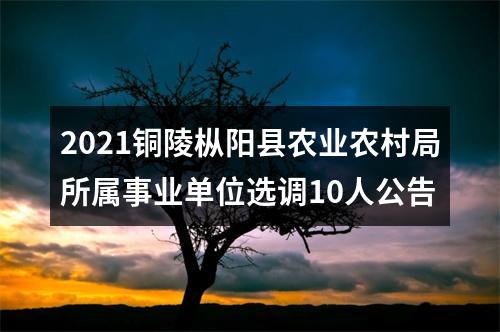 2021铜陵枞阳县农业农村局所属事业单位选调10人公告 图片