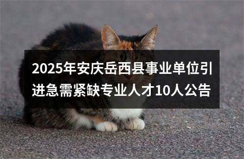 2025年安庆岳西县事业单位引进急需紧缺专业人才10人公告 图片