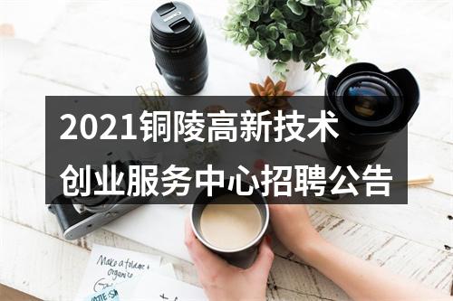 2021铜陵高新技术创业服务中心招聘公告 图片