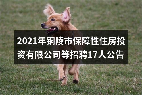 2021年铜陵市保障性住房投资有限公司等招聘17人公告 图片