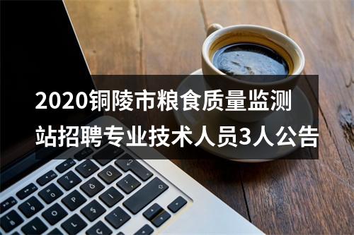 2020铜陵市粮食质量监测站招聘专业技术人员3人公告 图片
