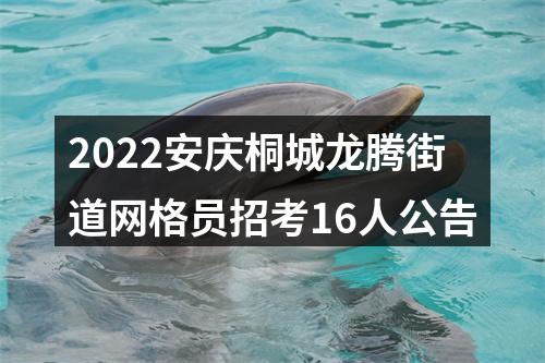 2022安庆桐城龙腾街道网格员招考16人公告 图片
